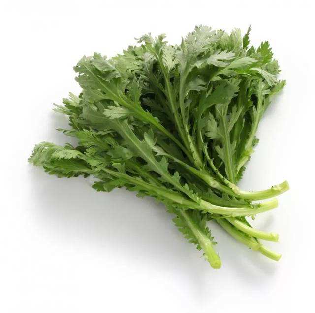 食品安全檢測儀 食品安全檢測儀