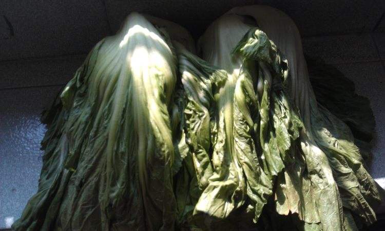 食品安全檢測儀 食品安全檢測儀