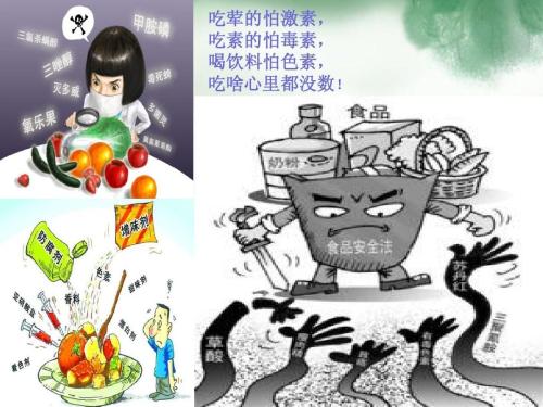 食品安全檢測儀 食品安全檢測儀