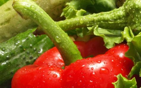 農殘速測儀 農殘速測儀