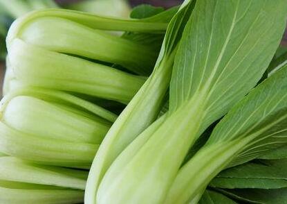 農藥殘留速測儀 農藥殘留速測儀