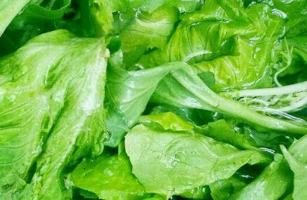 果蔬農殘檢測儀 果蔬農殘檢測儀