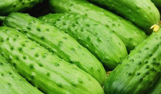 農藥殘留速測儀 農藥殘留速測儀