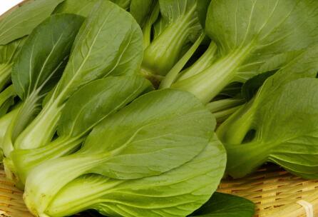 農藥殘留測定儀 農藥殘留測定儀