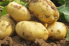 農(nóng)藥殘留超標(biāo)的標(biāo)準(zhǔn)是什么，如何檢測(cè)？