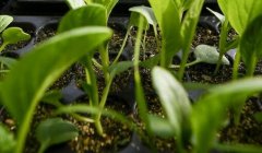 食品安全速測儀操作簡單，可降低學習成本