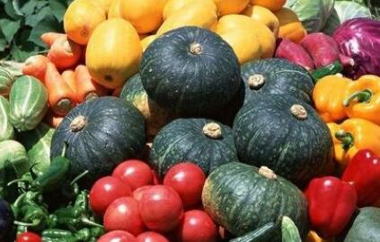 食品安全速測儀 食品安全速測儀